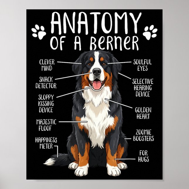 Poster Funny Anatomy Bernese Mountain Dog Cute Berner Lov (Devant)