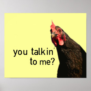 Poster Funny attitude chicken ?