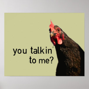 Poster Funny attitude chicken ?