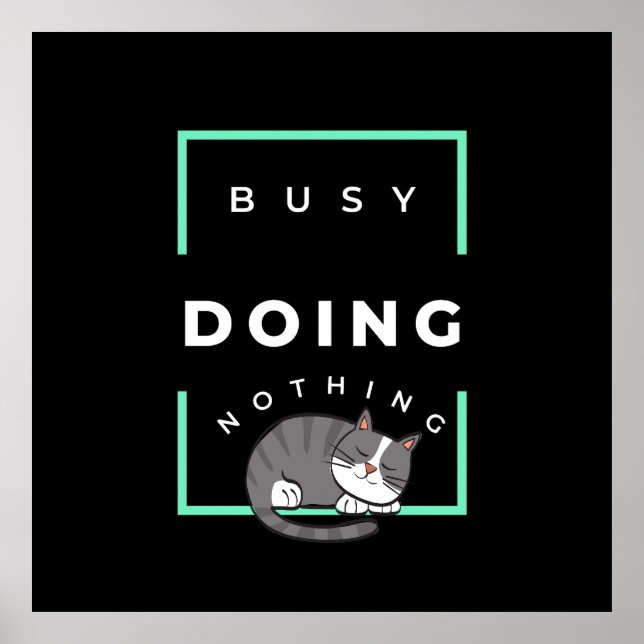 POSTER FUNNY CHAT BUSY NE FAIT RIEN (Devant)