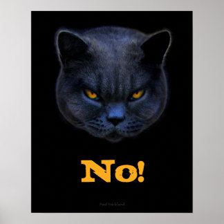 Poster Funny Cross Cat dit Non