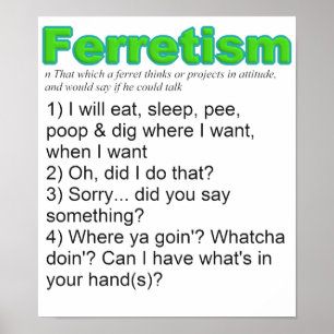 Poster Funny Ferrets