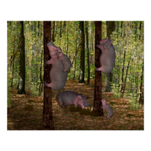 Poster Funny Hippopotames Koala-Wannabe