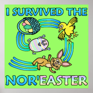 Poster Funny I Survive the Nor'Easter