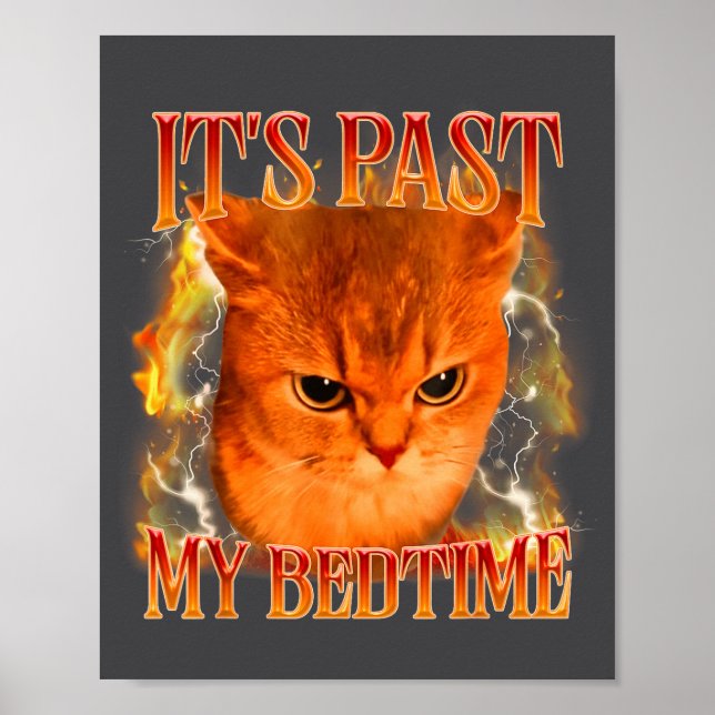 Poster Funny It's Past My Bedtime Cat Meme Animals Humor  (Devant)