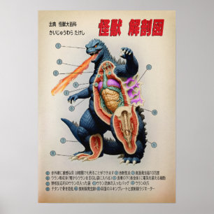 Poster Funny Japonais Kaiju anatomie diagramme