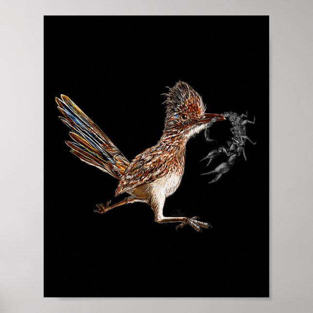 Poster Funny Roadrunner Scorpion Road Runner Bird Hunter (Devant)
