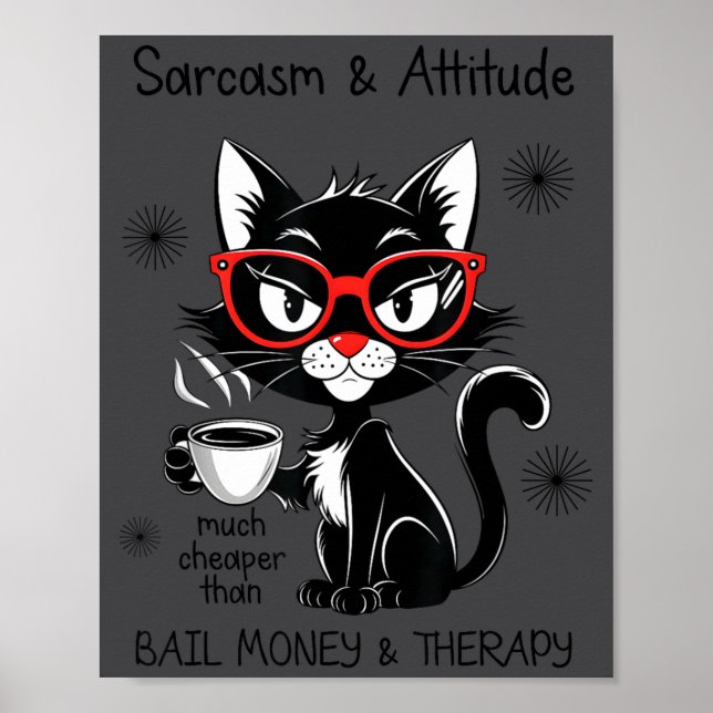 Poster Funny Sarcastic Rude Sayings Sarcasm And Attitude  (Devant)