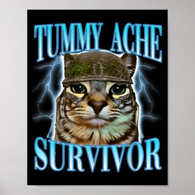 Poster Funny Saying Cats Tummy Ache Survivor Cat Meme Hum (Devant)