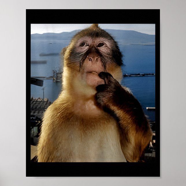 Poster Funny Thinking Monkey Meme Curious Ape Brainrot Gi (Devant)