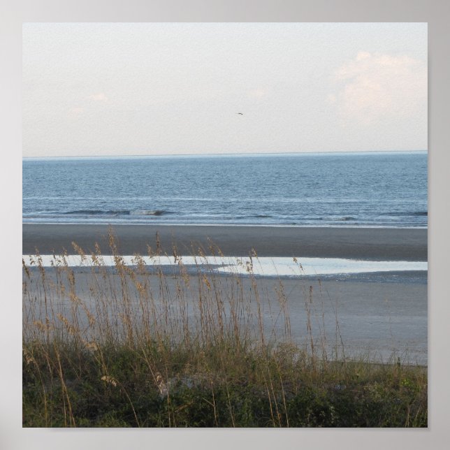 Poster für Beach Scene (Vorne)