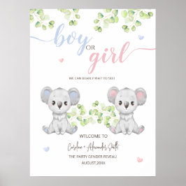 Poster für das Koala Gender Reveal Party.