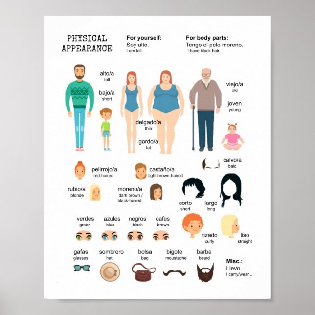 Poster für das physische Aussehen spanischer Leasi (Vorne)