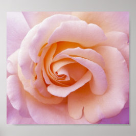 Poster für die Rose English Country Garden