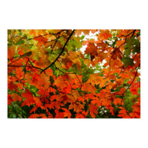 Poster für Herbst