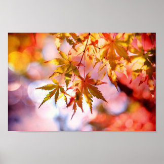 Poster für Herbst