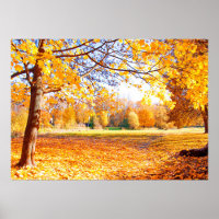 Poster für Herbst-Bäume