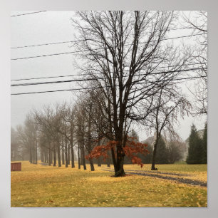 Poster für Herbst-Bäume