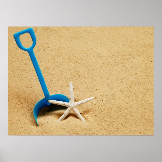 Poster für Shovel & Starfish Beach Fun (Vorne)