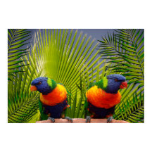 Poster für tropische Vögel