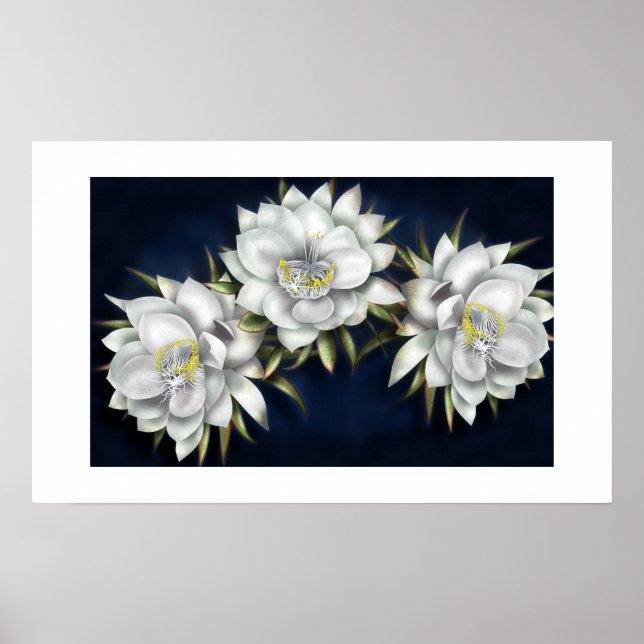 Poster für weiße Blume (Vorne)