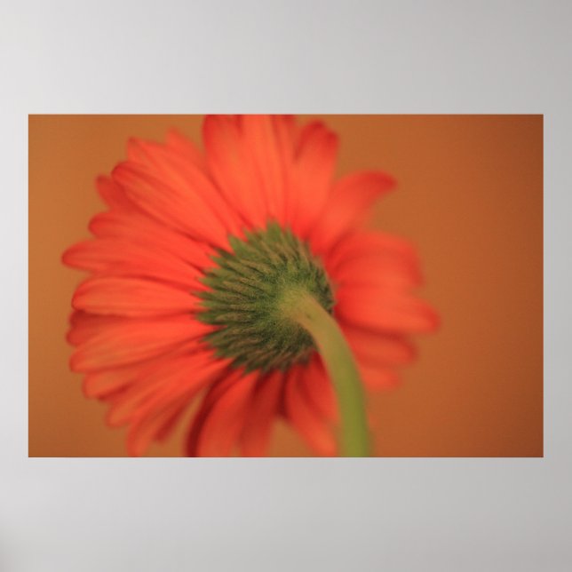 Poster Fusion (Devant)