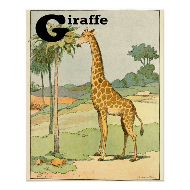 Poster G est pour Giraffe Alphabet Animaux Parfait (Devant)