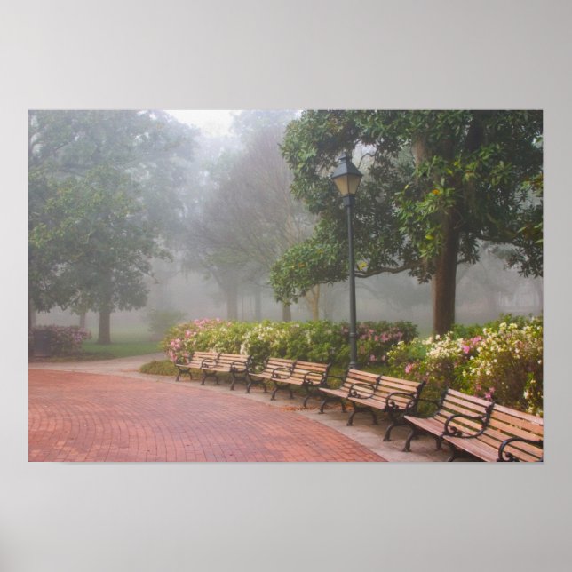 Poster GA Savannah, Azaleas, le long du trottoir en briqu (Devant)