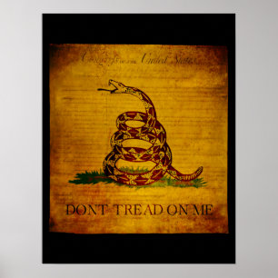 Poster Gadsden déclaration des droits