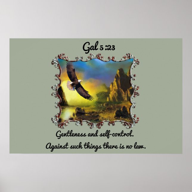 Poster Gal 5:23 Douceur et maîtrise de soi (Devant)