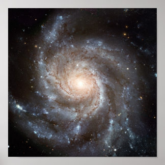 Poster Galaxie M101