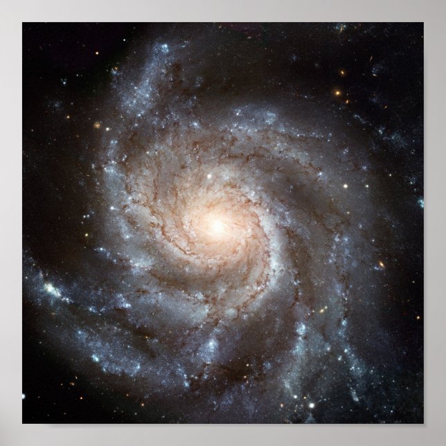 Poster Galaxie M101 (Devant)
