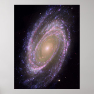 Poster Galaxie M81