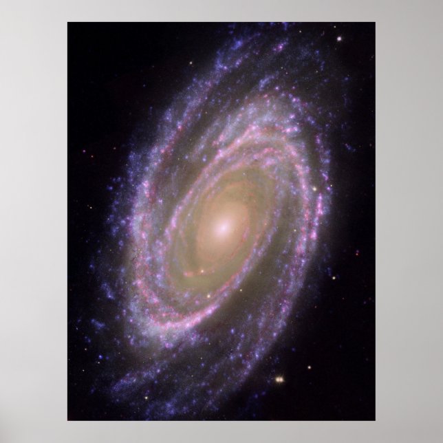 Poster Galaxie M81 (Devant)