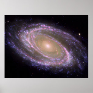 Poster Galaxie spirale M81