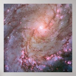 Poster Galaxie Spirale M83, Ablaze Avec Formation Star.