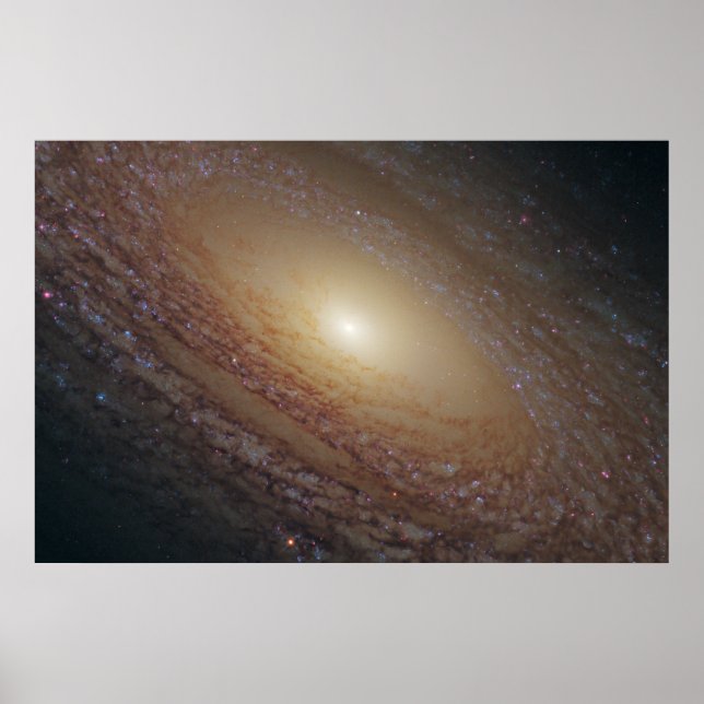 Poster Galaxie Spirale Ngc 2841 (Devant)