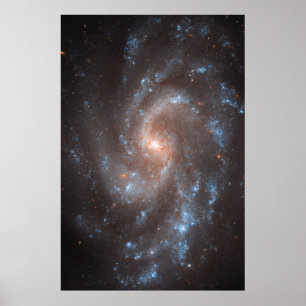 Poster Galaxie Spirale Ngc 5584