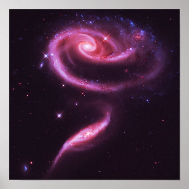 Poster Galaxies Rose Pâle (Devant)