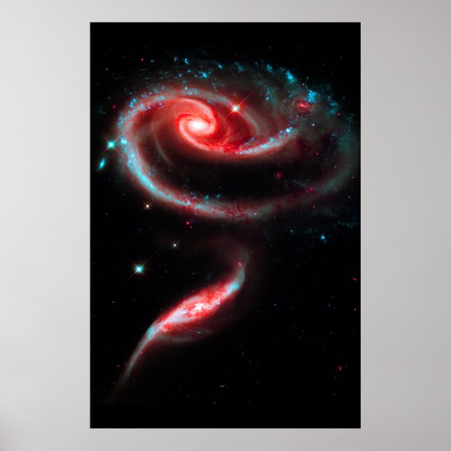 Poster Galaxy Rose Rouge (Devant)