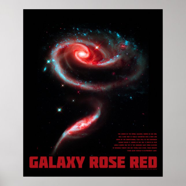 Poster Galaxy Rose Rouge (Devant)