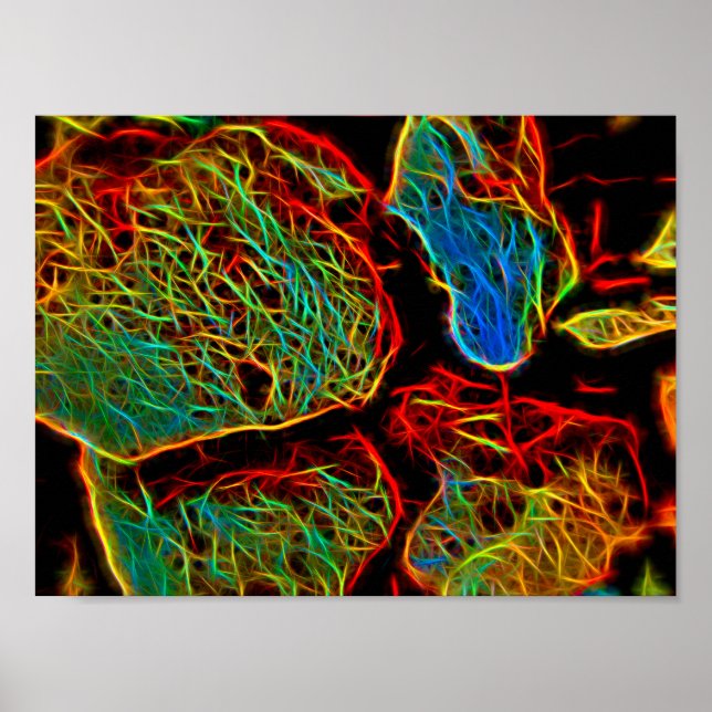 Poster Galets peints en néon brillant (Devant)