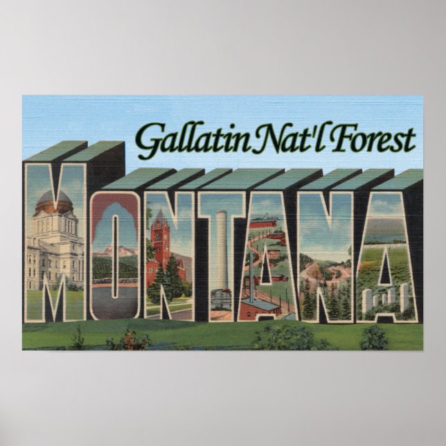Poster Gallatin Nat'l Forest, Montana (Devant)