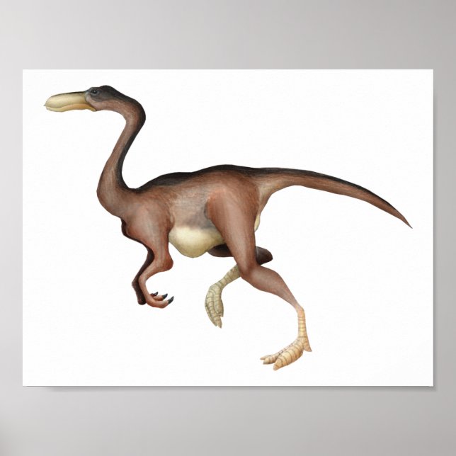 Poster Gallimimus (Devant)