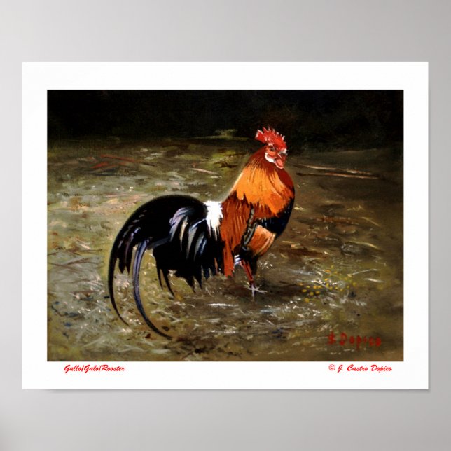 Poster Gallo (Devant)