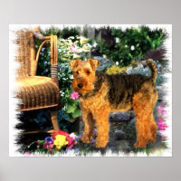 Gallois Terrier Art Print