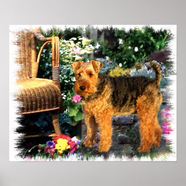 Poster Gallois Terrier Art Print (Devant)