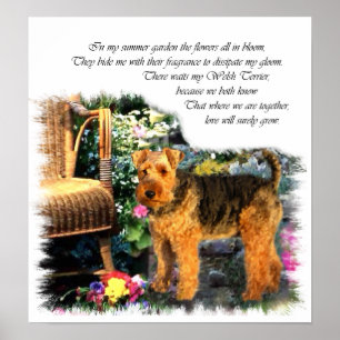Poster Gallois Terrier Art Print