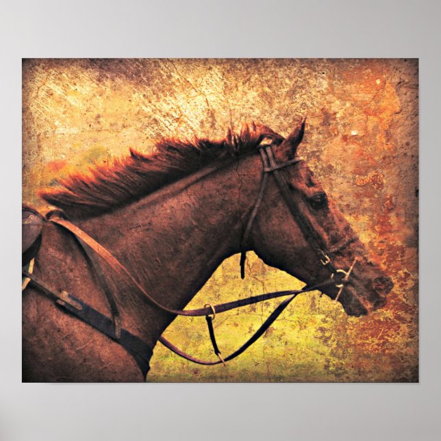 Poster Gallop Away (Devant)