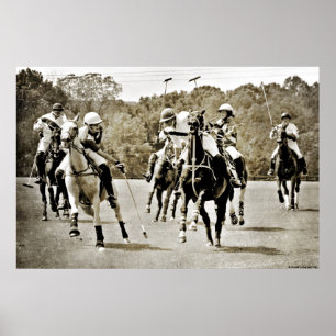 Poster Galloping de Polo Horses